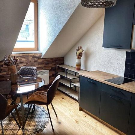 Cozy And Warm Apartment In The Heart Of Karlsbad Zewnętrze zdjęcie