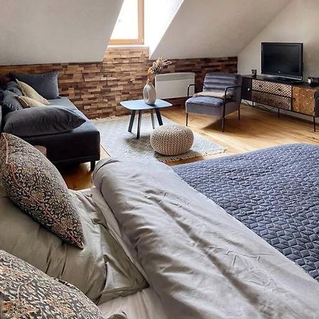 Cozy And Warm Apartment In The Heart Of Karlsbad Zewnętrze zdjęcie